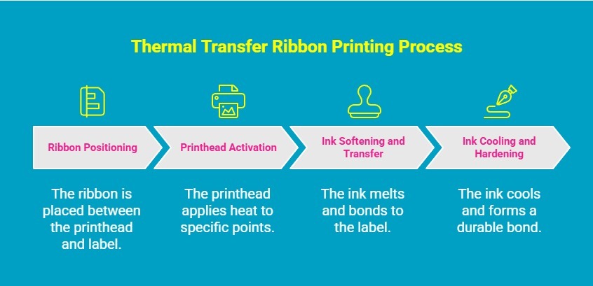 Infographic - How Does a Thermal Transfer Ribbon Work
